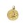 Tierkreiszeichen Sternbild Anhänger Plakette echt Gold 333 rund 22x16mm