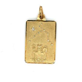 Tierkreiszeichen Sternzeichen Anhänger echt Gold 585 Zirkonia 21x14mm - Wassermann