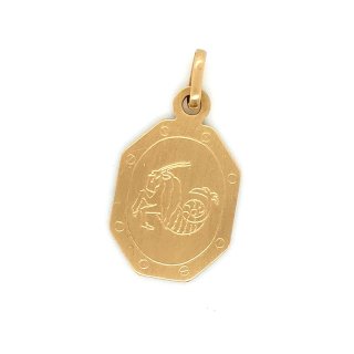 Tierkreiszeichen echt Gold 585 matt Sechseck 25x12mm