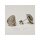 Ohrstecker echt Silber 925 Zirkonia weiß - SILVERGLAM