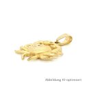 Großer Anhänger Krabbe plastisch gearbeitet echt Gold 585 matt/Glanz 34x24mm