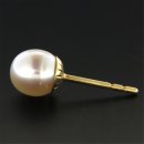 Ohrstecker Perle rund 333 Gold 6,0-6,5 mm