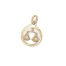 Tierkreiszeichen Sternzeichen Anhänger echt Gold 585 rund 22x15mm