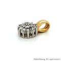 Gleiter Anhänger bicolor mit Zirkona echt Gold 333 Glanz 13x8mm