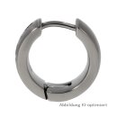 Creolen Titan matt/Glanz mit Zirkonia 15x6mm