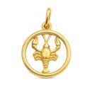 Sternzeichen-Anhänger Krebs aus Echtgold 585 –...