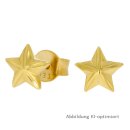 Ohrstecker Stern aus 333 Gelbgold – Diamantschnitt,...