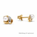 Ohrstecker 333 Gelbgold mit...