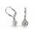 Funkelnde Ohrpendel aus 925 Sterling-Silber mit Zirkonia – 22 x 6 mm
