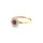 Damenring bicolor mit Rubin und Diamanten echt Gold 585 Glanz Ringweite 52